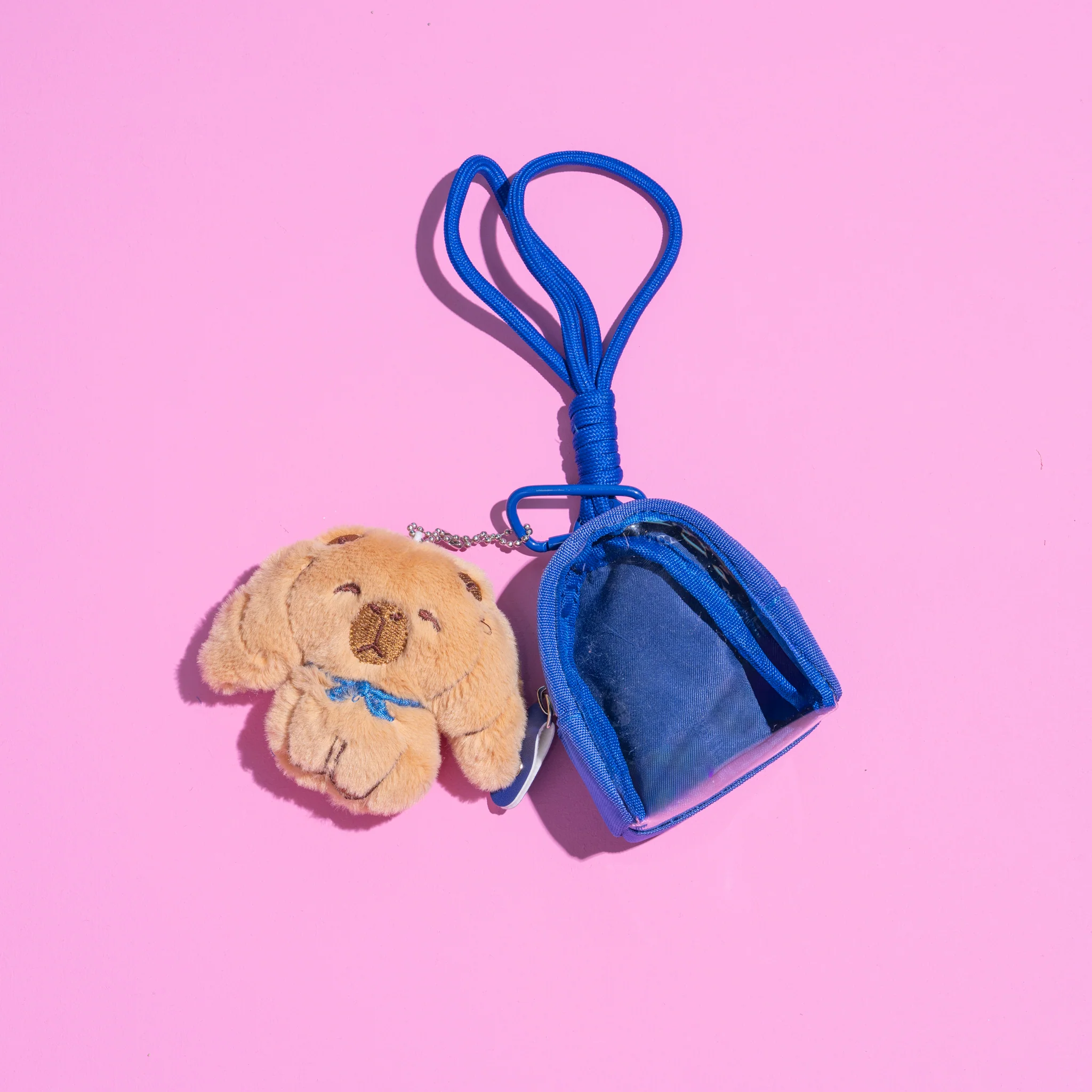 Adopt a Capybara with Backpack - colours assorted - Image 4