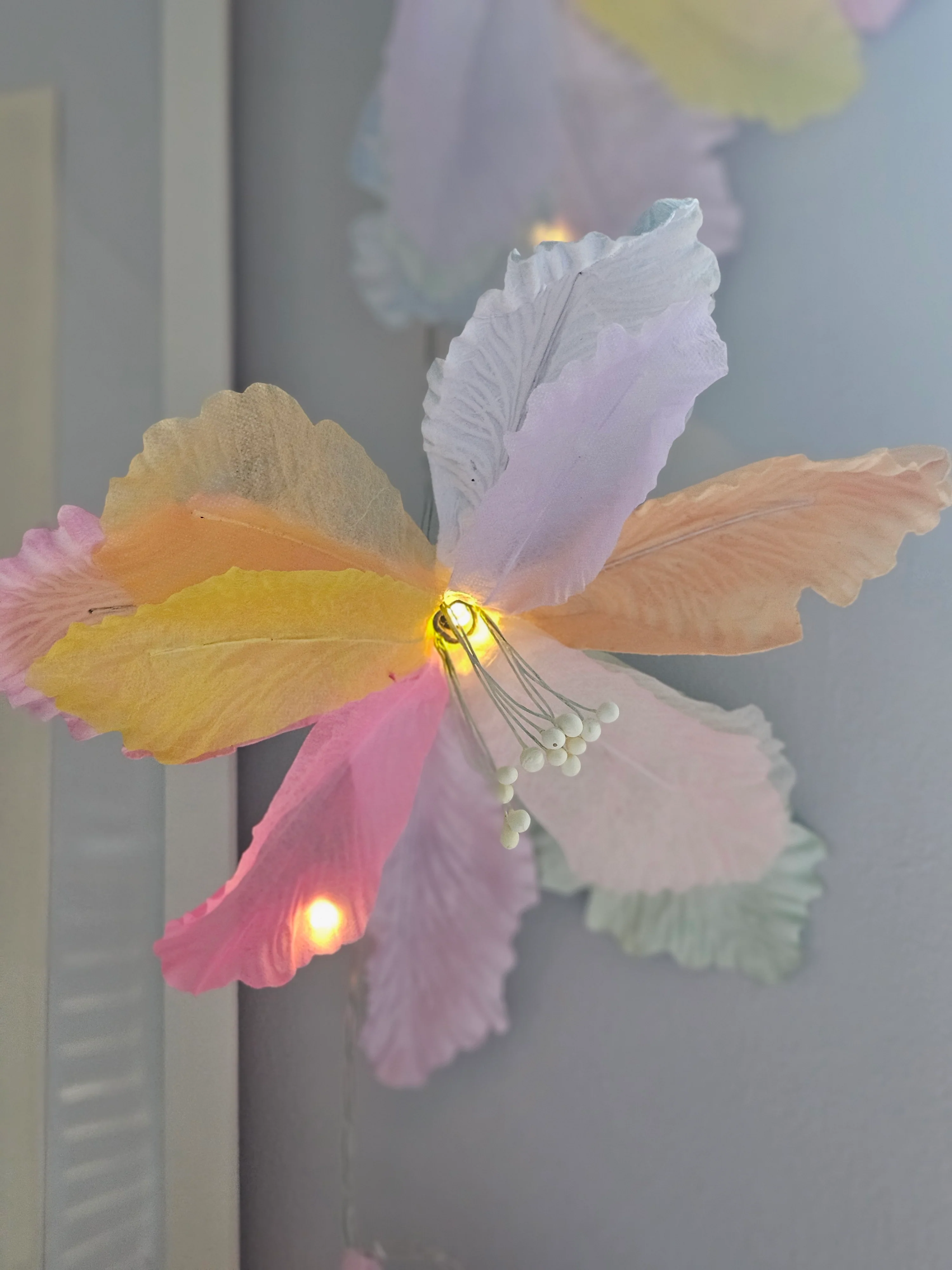 Dancing Flower String Lights - various - Image 5