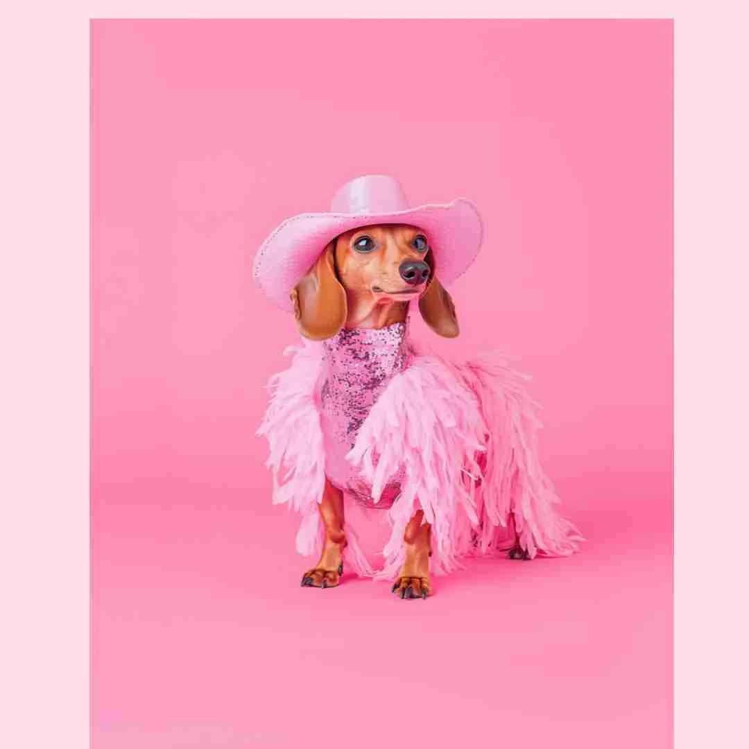Disco Dog art print - Image 2