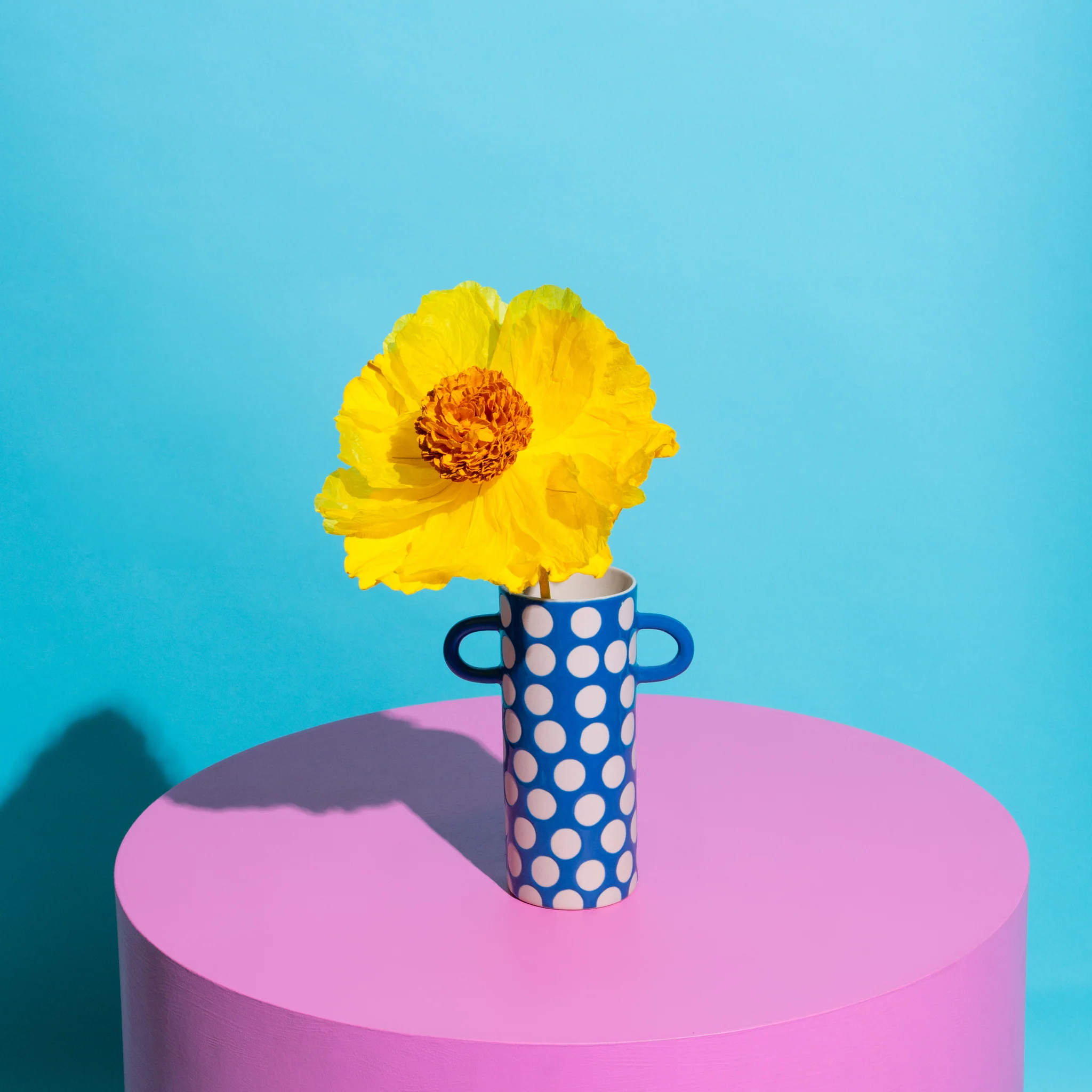 Helenium Paper Flower Yellow