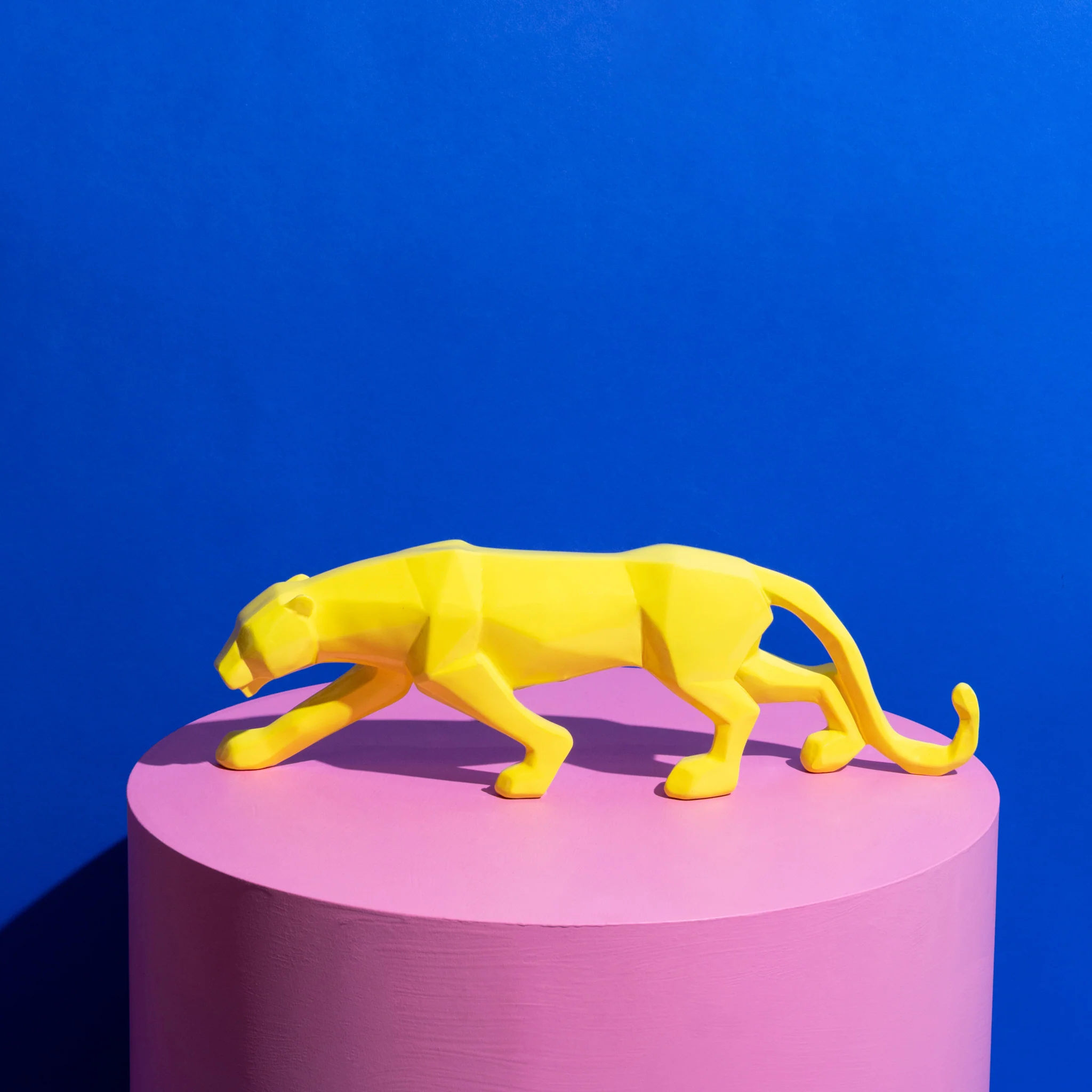 Jack Jaguar Yellow Gloss