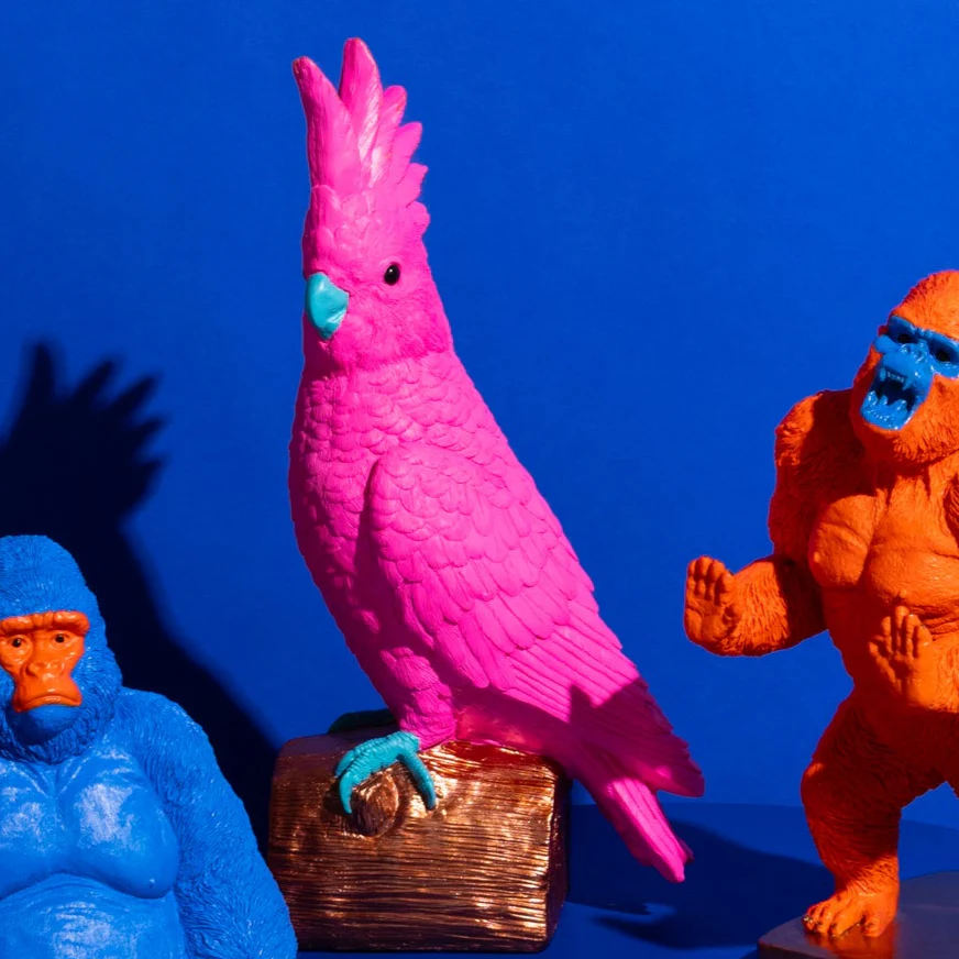 Pablo Parrot - Hot Pink - Image 2