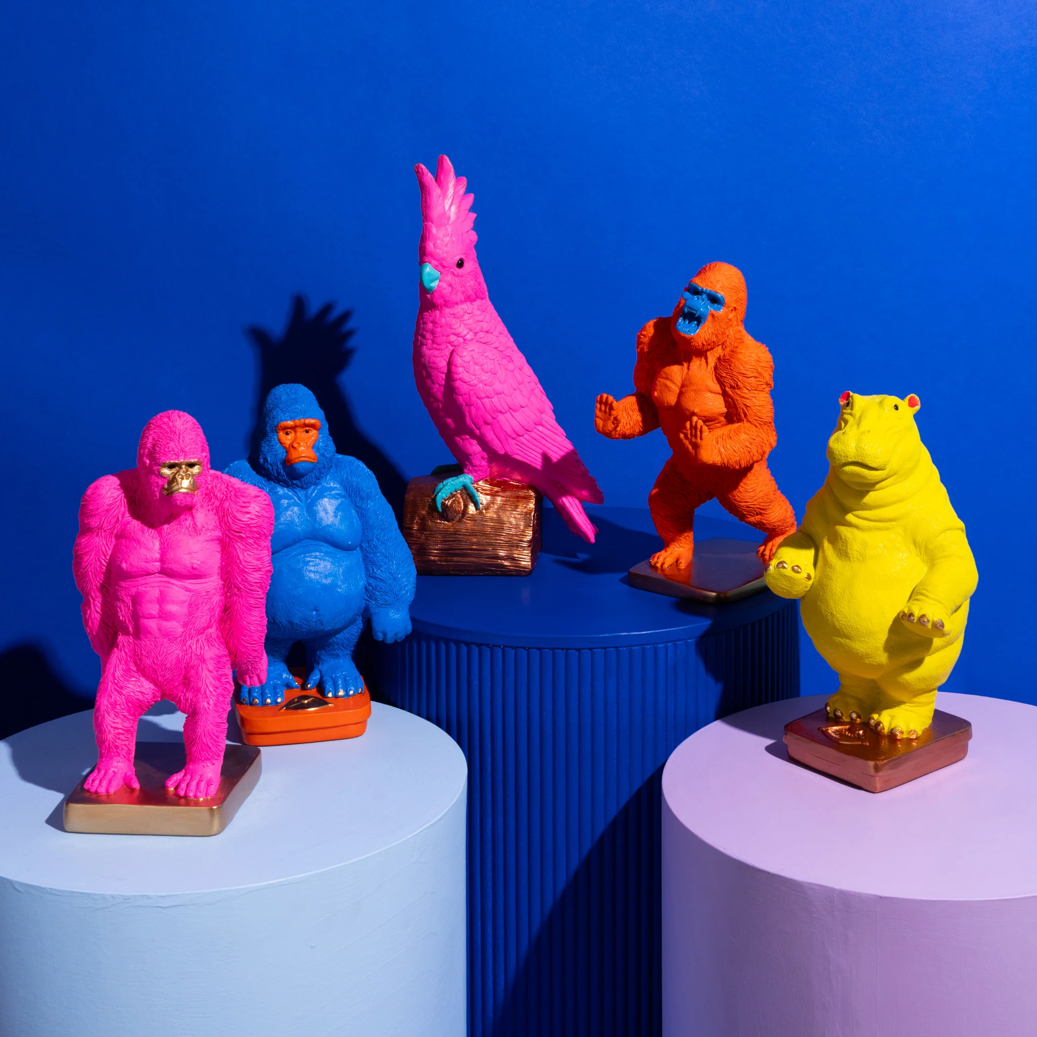 Pablo Parrot - Hot Pink - Image 4