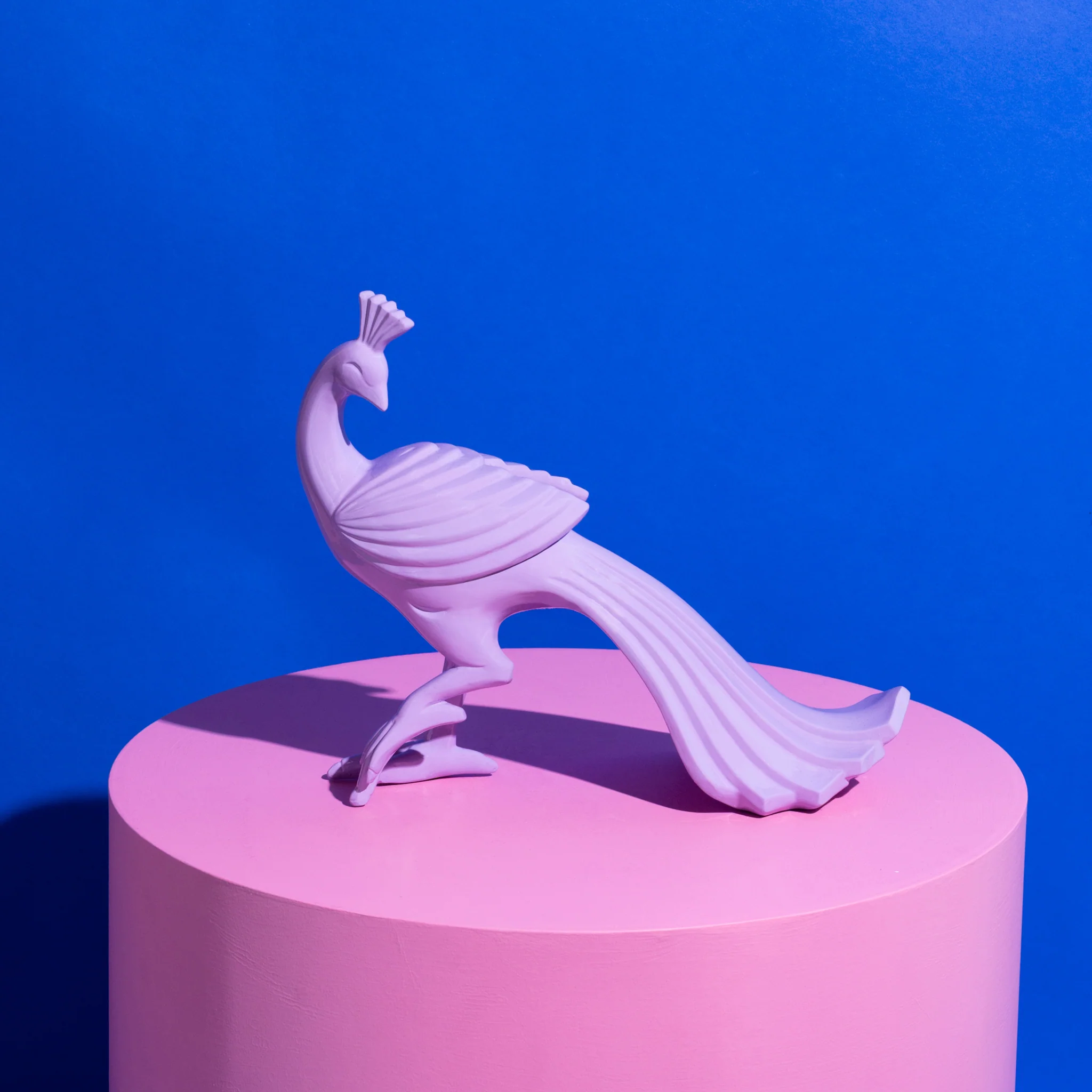 Pete Peacock Lilac Gloss