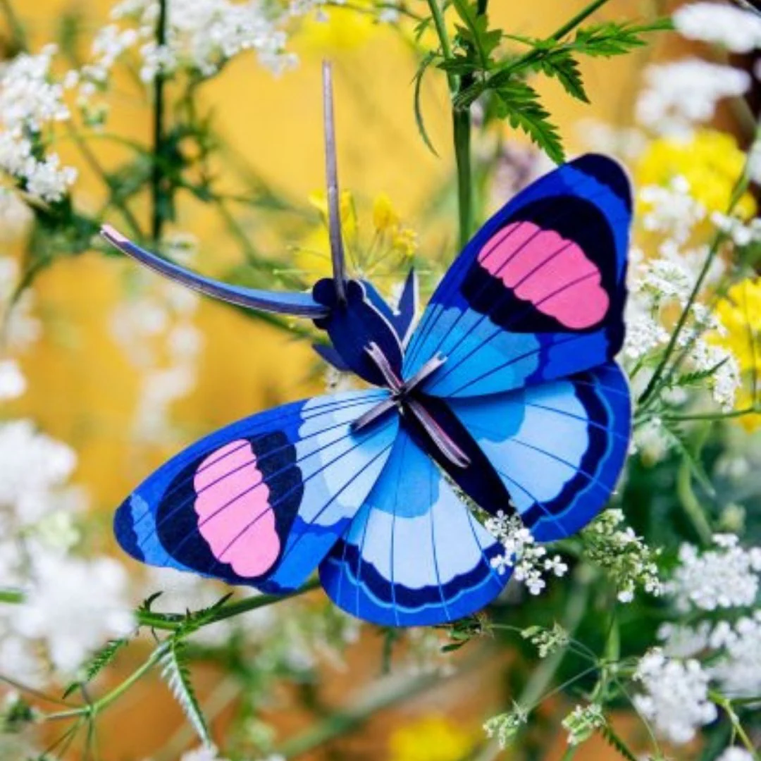 Studio Roof Peacock Butterfly - Image 3
