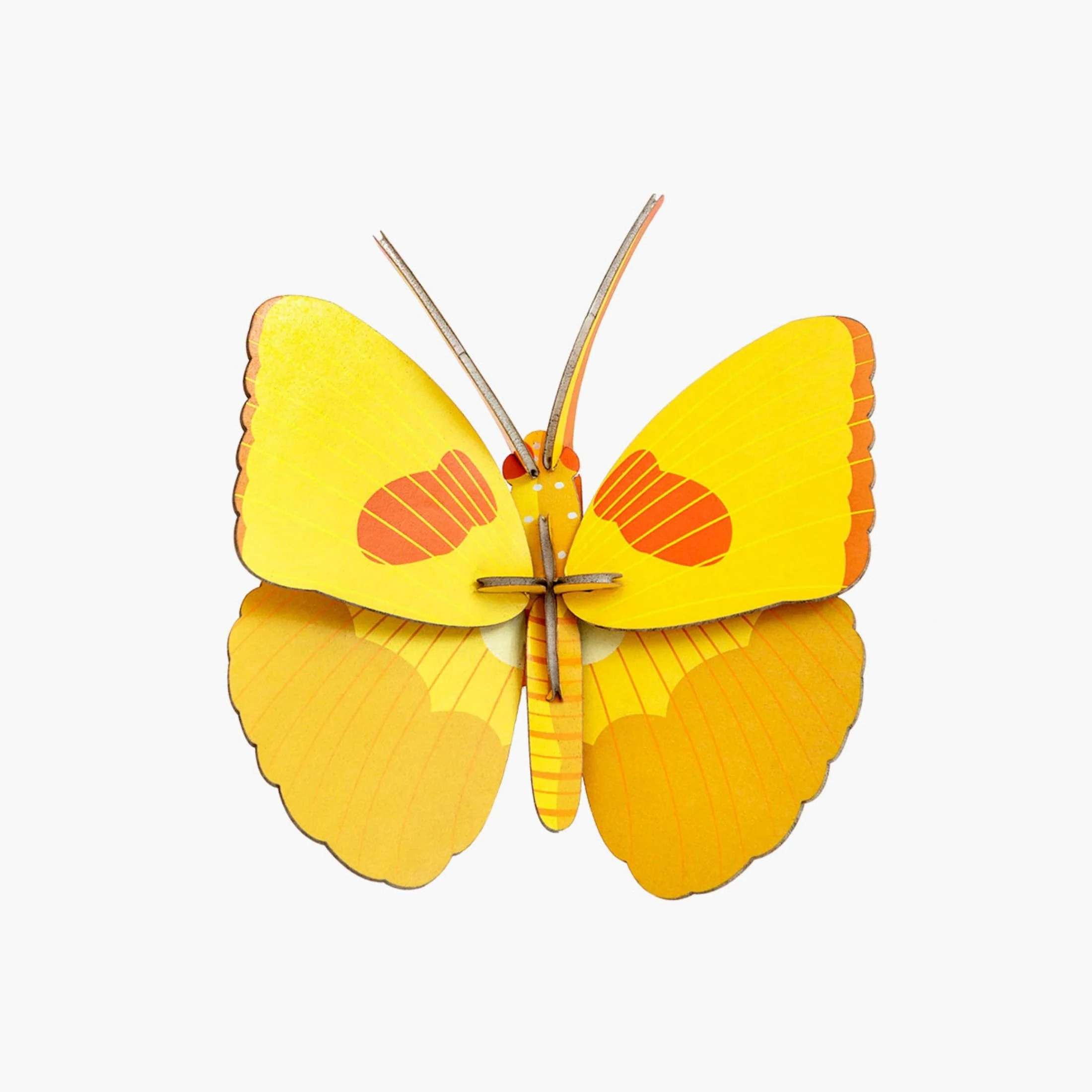 Studio Roof Yellow Butterfly